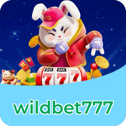 Suporte wildbet777